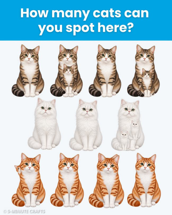 image.thumb.png.bf5c708eae4264da8db031912ef20f23.png