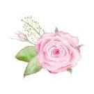Flora Secret