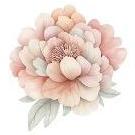 Flora Secret